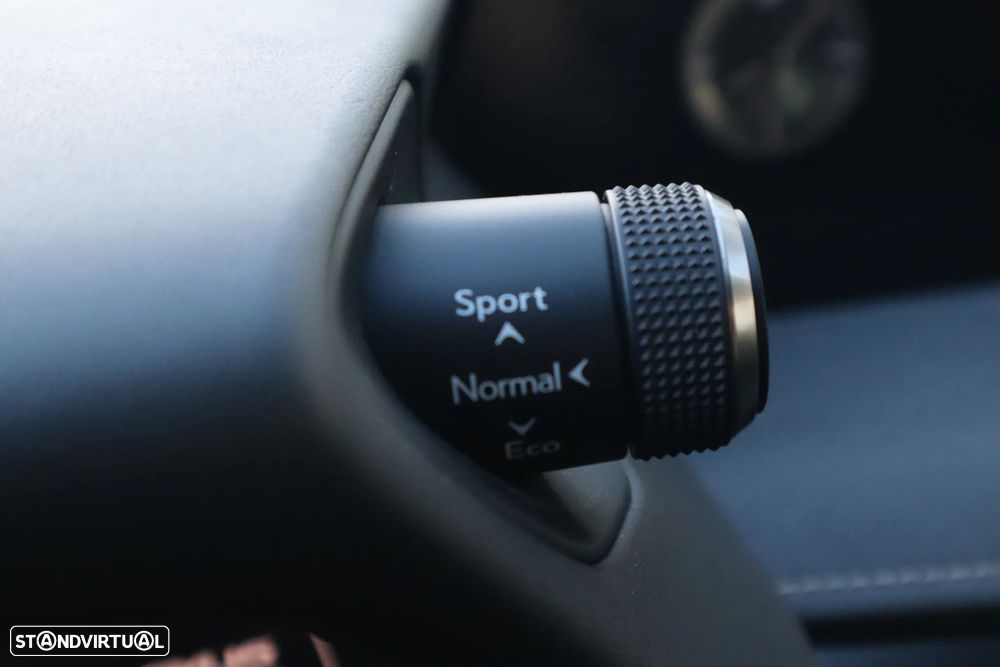 Lexus UX 300e Luxury - 35