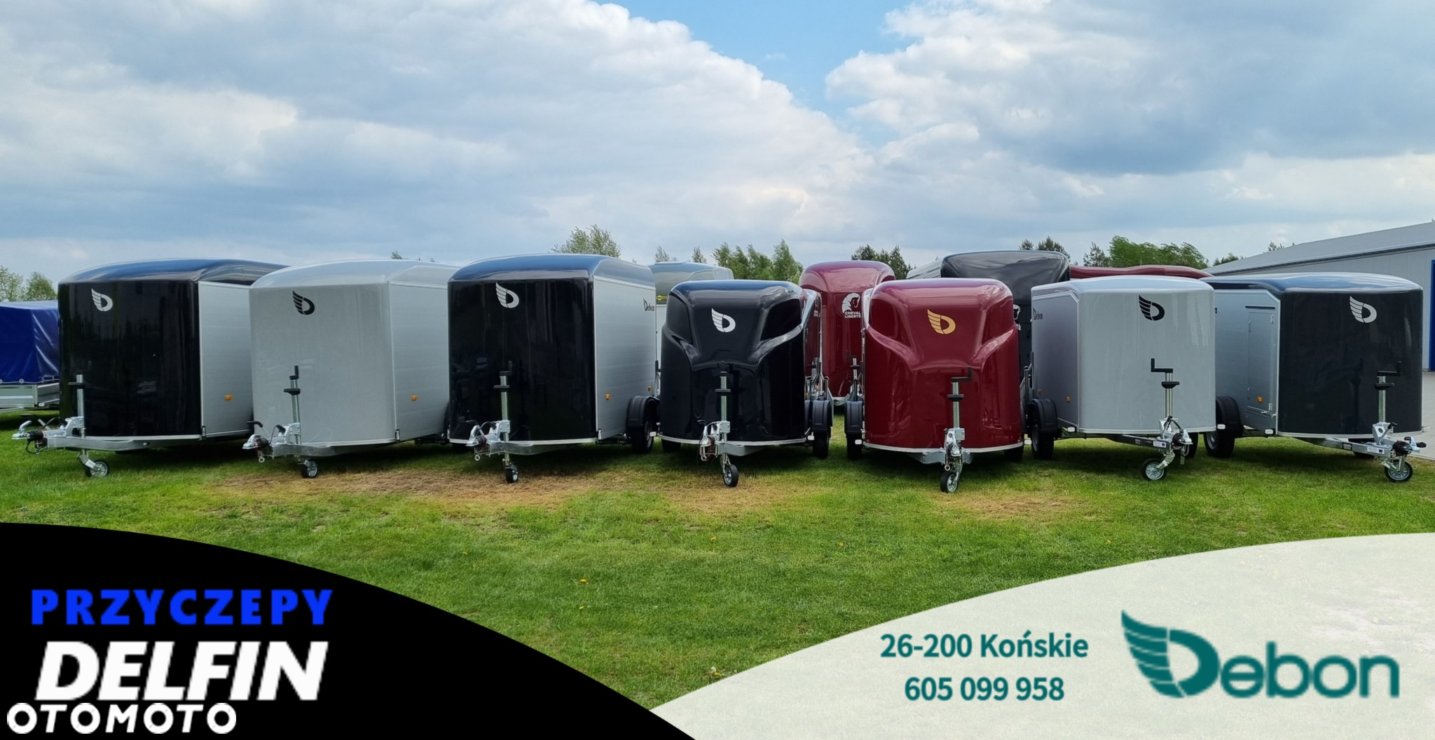 Debon C255 PPL | drzwi boczne / 255 x 125 cm / 1300kg DMC - 16