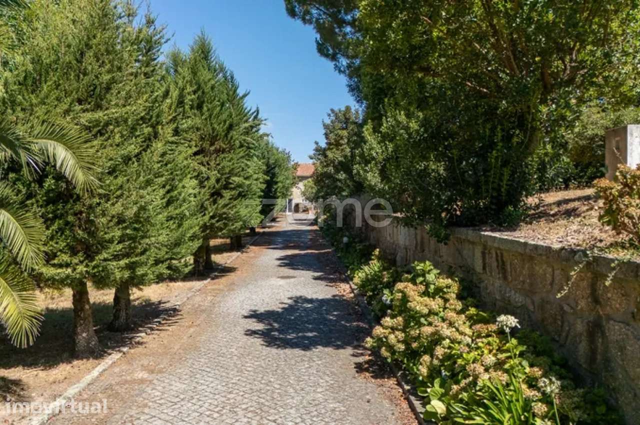 Quinta do Bacelo — Termas São Vicente - Penafiel - Grande imagem: 3/15