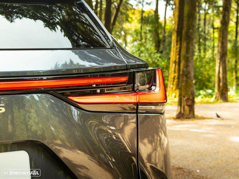 Lexus NX 450h+ Executive - 21