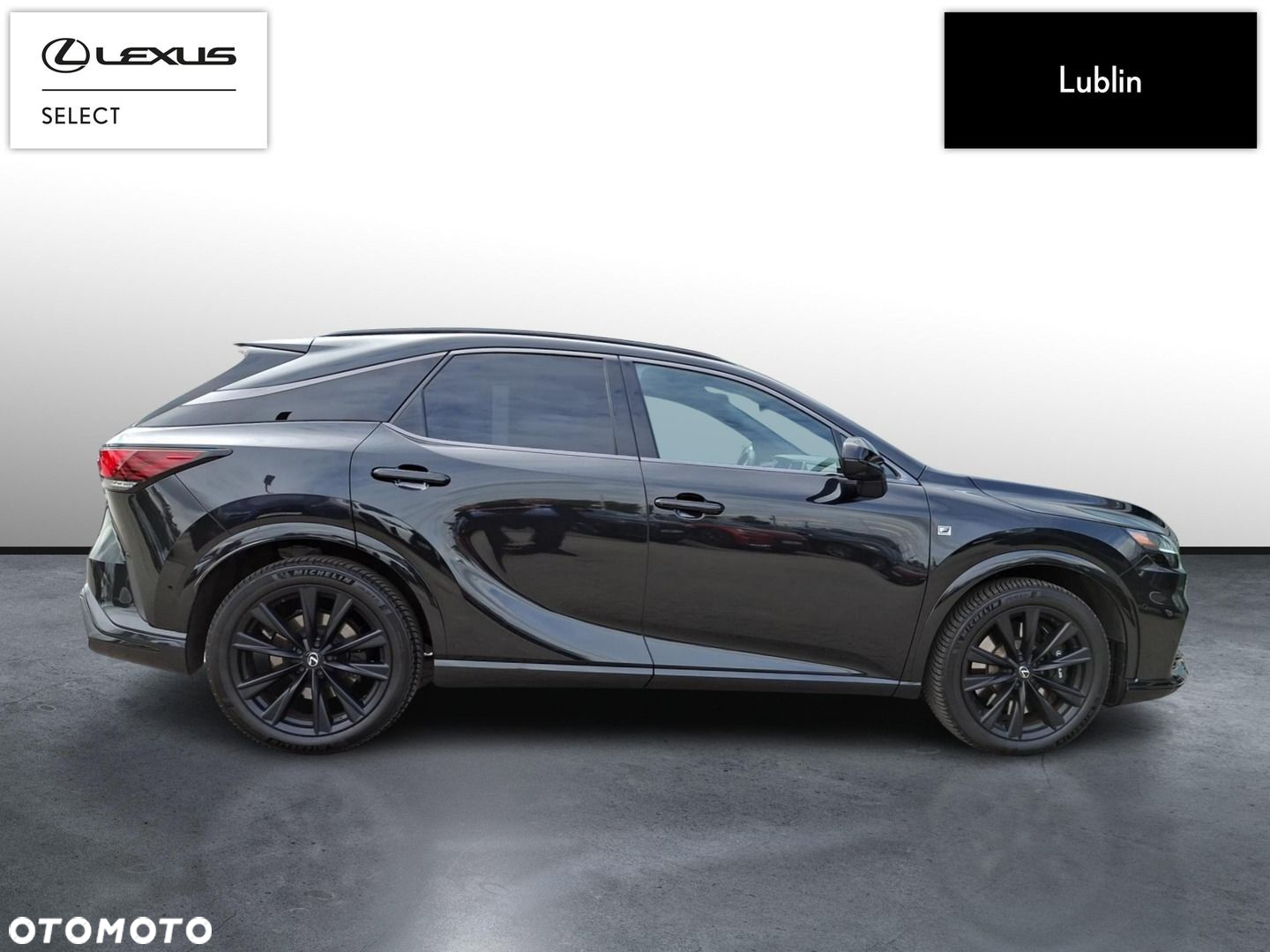Lexus RX - 6
