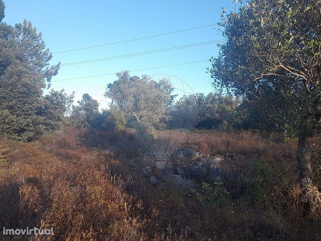 Terreno  para venda - Grande imagem: 3/7