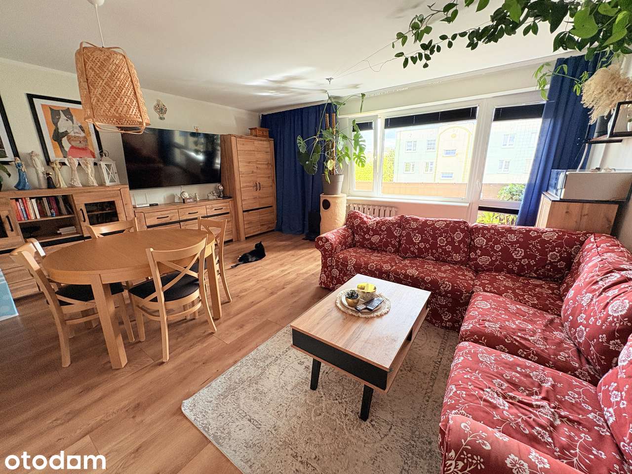 60,5m2 | 3 Pokoje | Loggia | BPL | 0% Prowizji