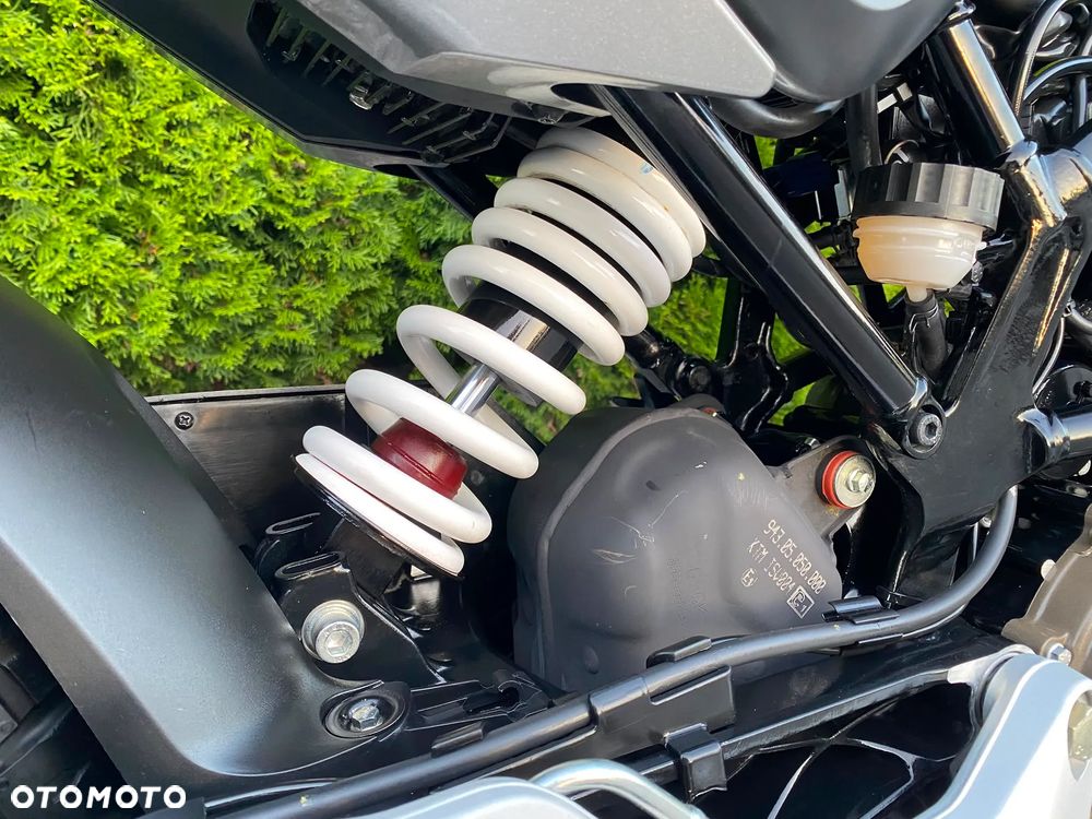 Husqvarna Svartpilen - 30