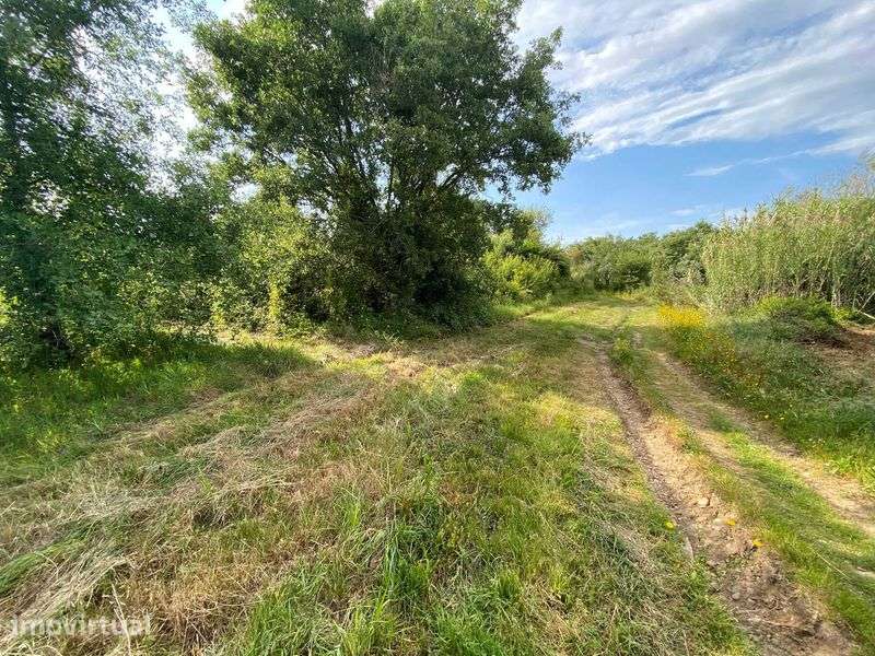 Terreno agrícola para venda nos Roques, próximo da cidade de Pombal - Grande imagem: 2/8
