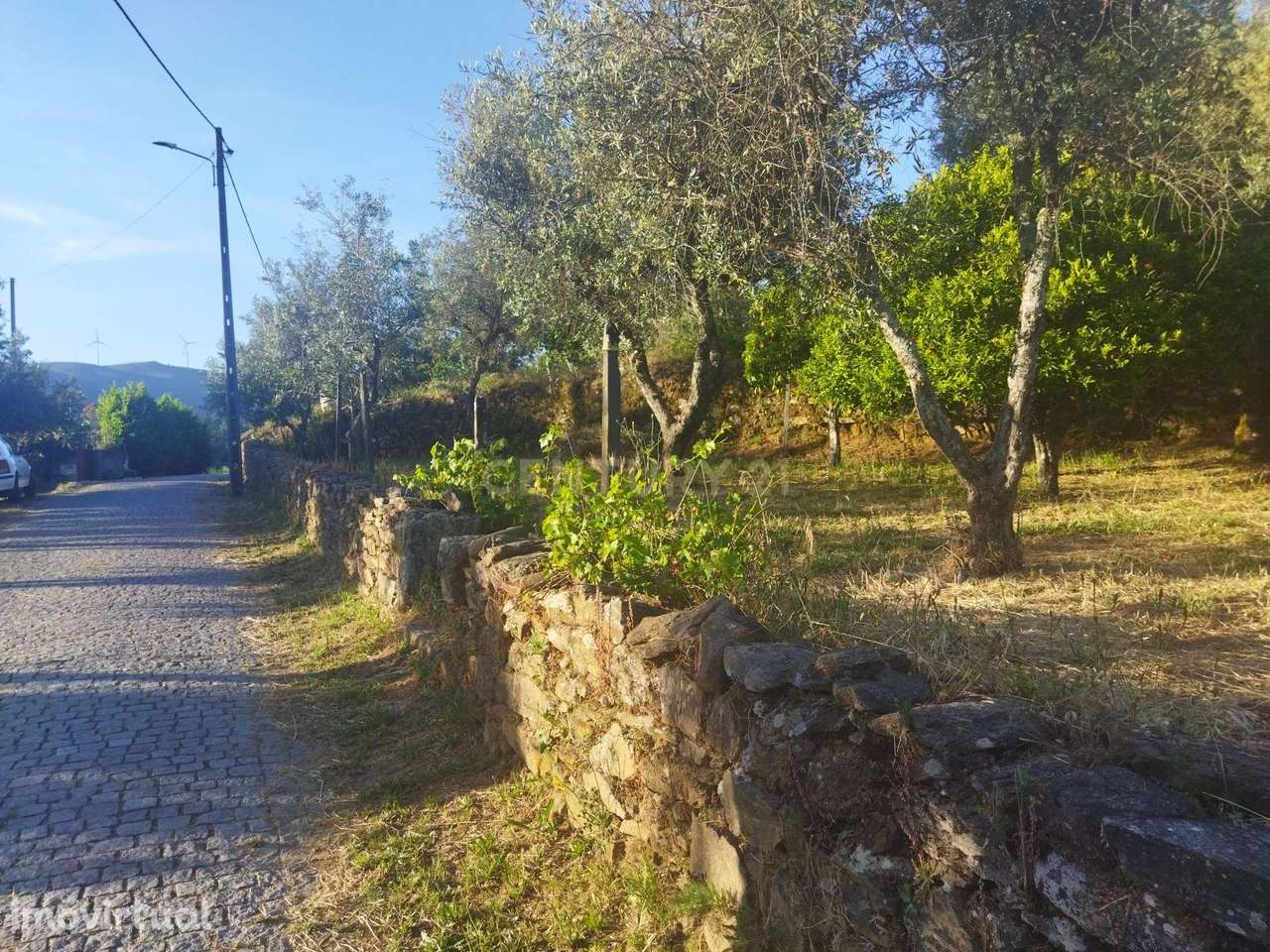 Terreno rústico | São Vicente da Beira, Castelo Branco - Grande imagem: 5/11