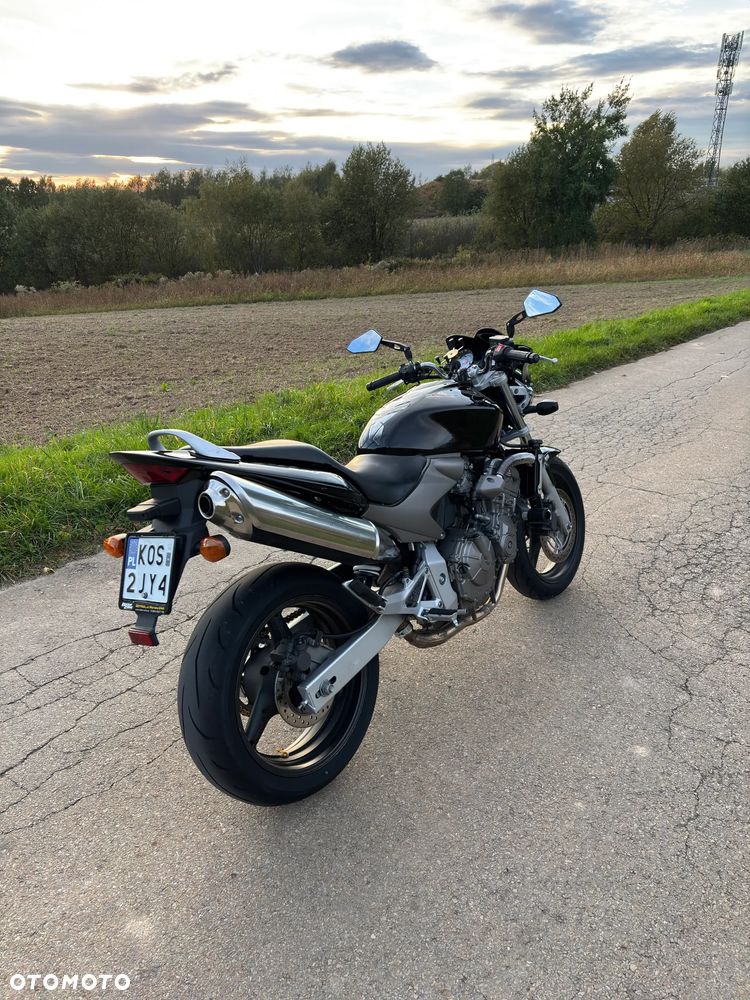 Honda Hornet - 19