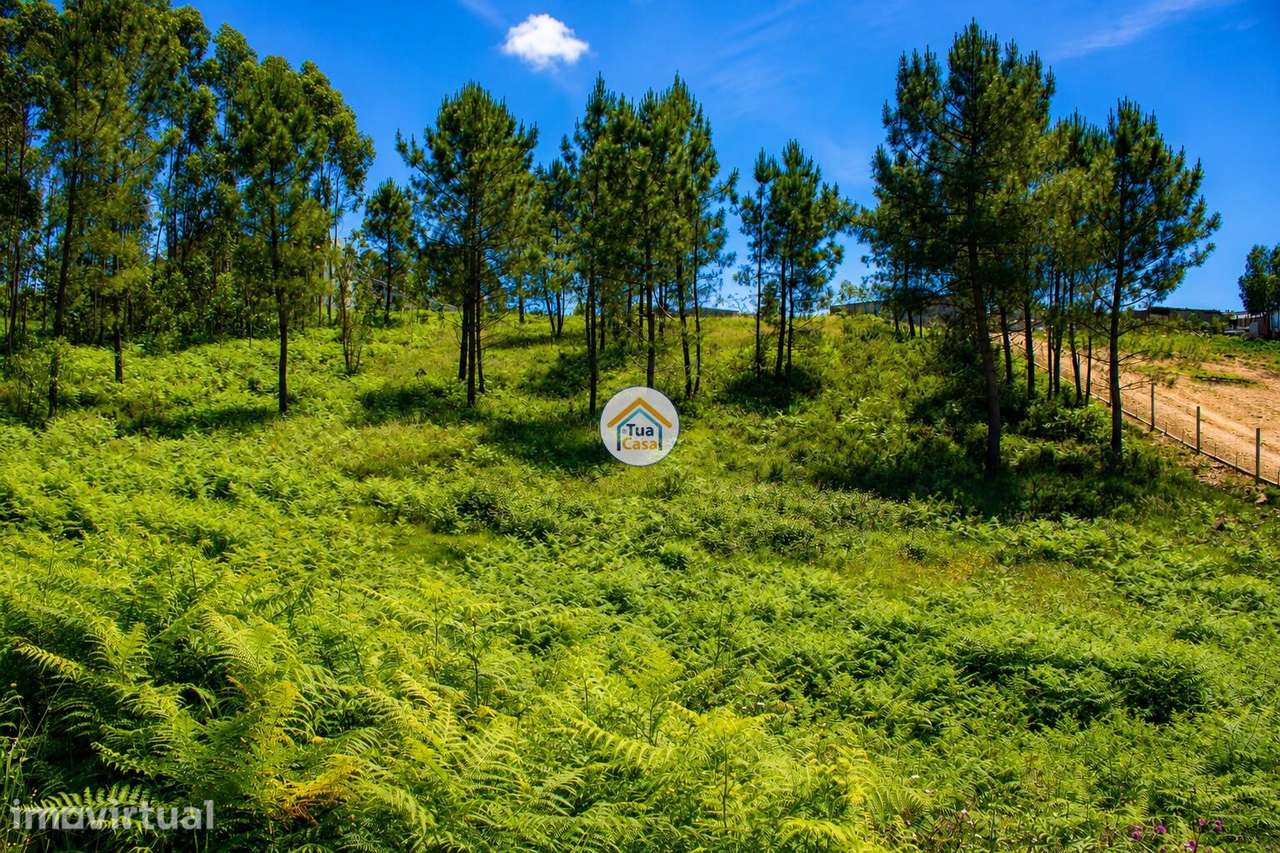 Terreno para Construção em Zona de Elevado Potencial –  Olival | Vila - Grande imagem: 4/7