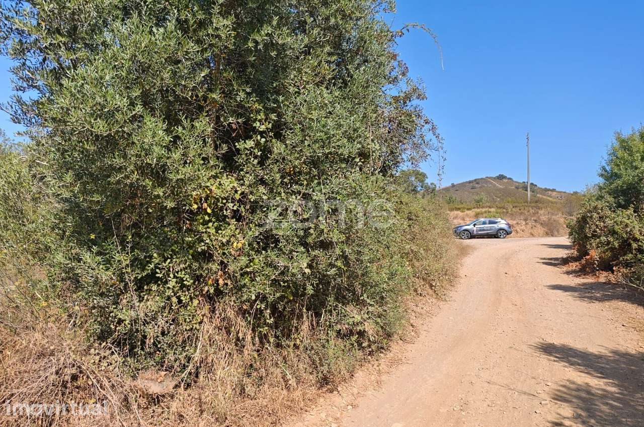 Terreno Rústico c/ 7.440m2 e água, em Corte Peral, São Marcos da Se... - Grande imagem: 4/23