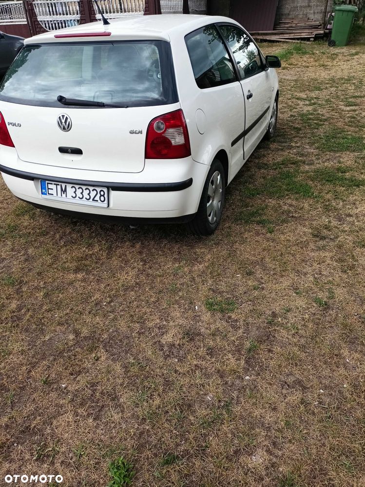 Volkswagen Polo - 3