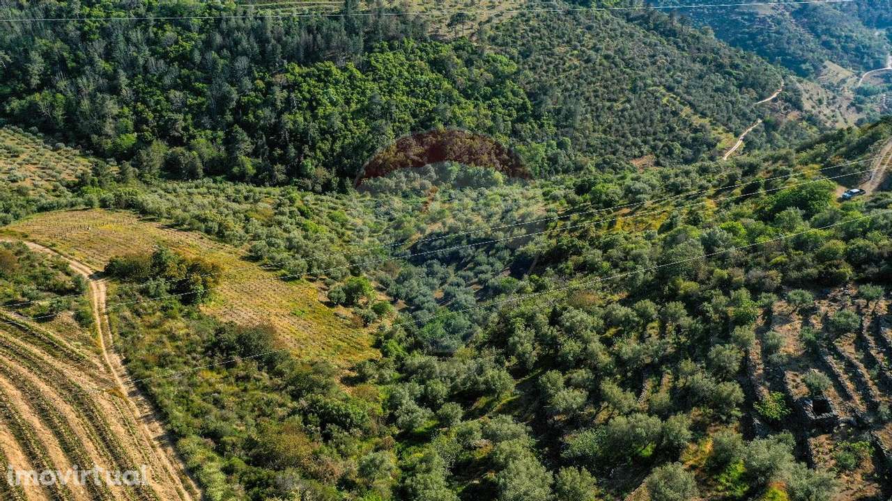 Terreno  para venda - Grande imagem: 4/10