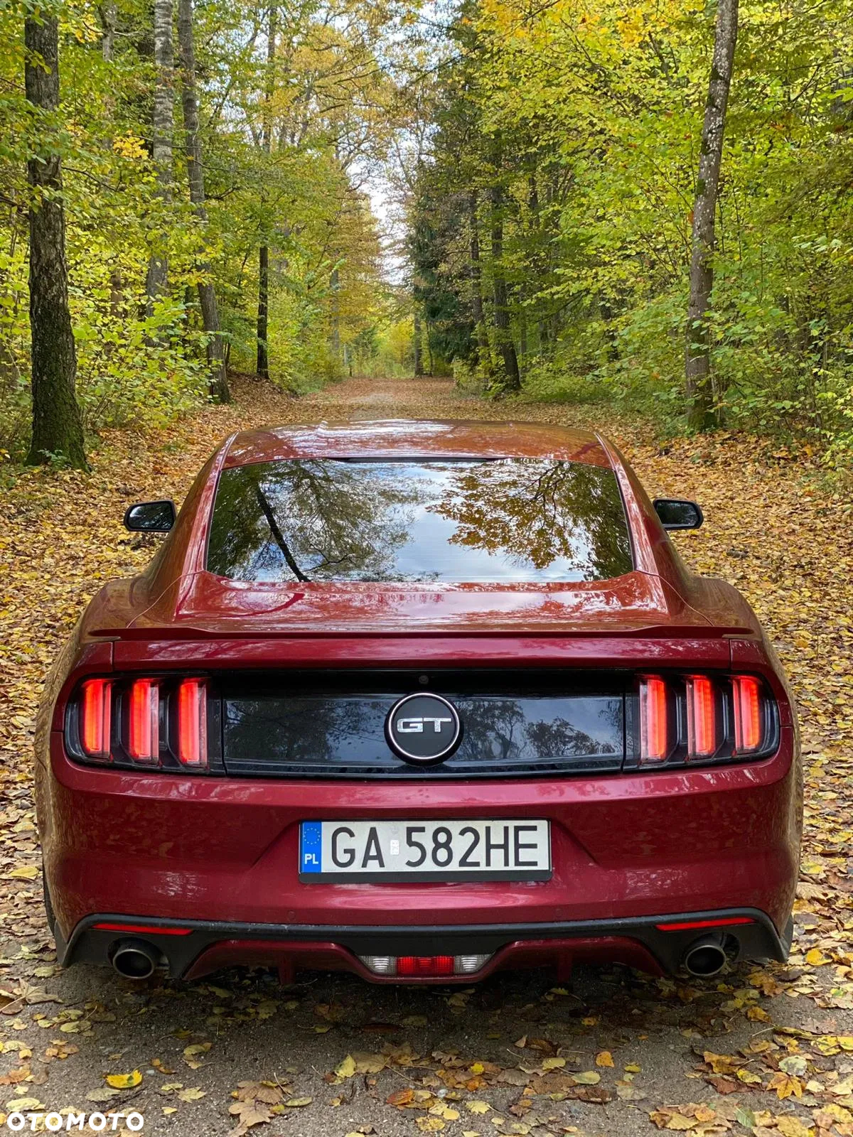 Ford Mustang 5.0 Ti-VCT V8 GT - 5