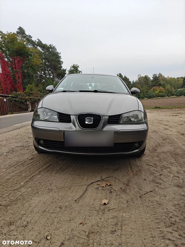 Seat Ibiza - 3