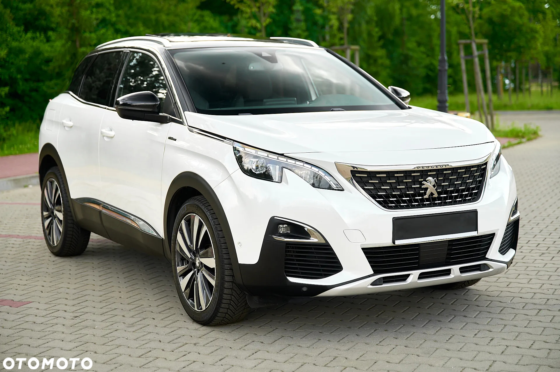 Peugeot 3008 1.5 BlueHDi GT S&S - 16