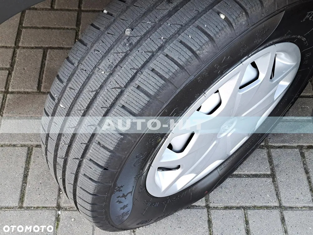 Ford Transit - 19