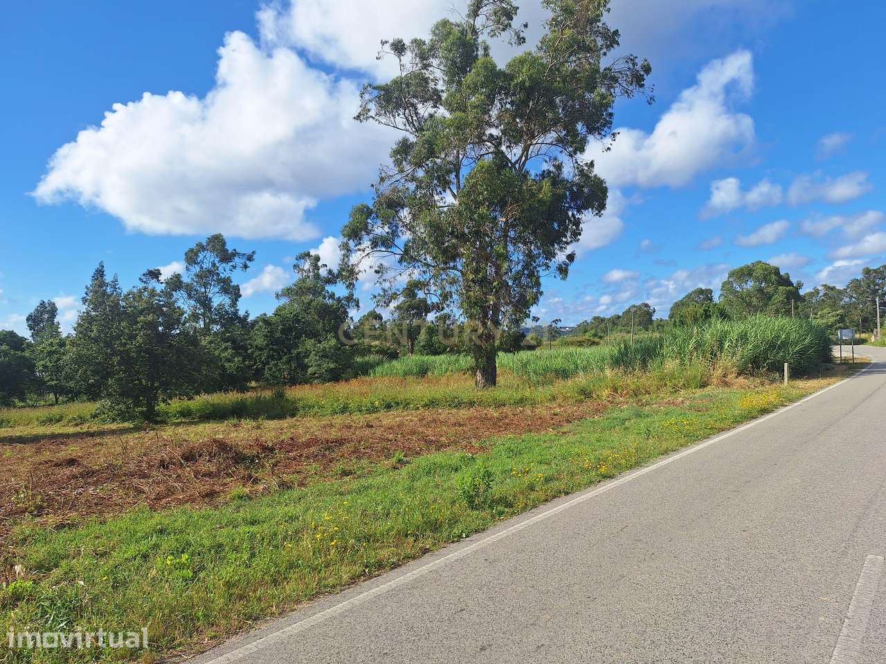 Terreno para construção urbana, em Quinta das Freiras, Alcobaça! - Grande imagem: 3/13