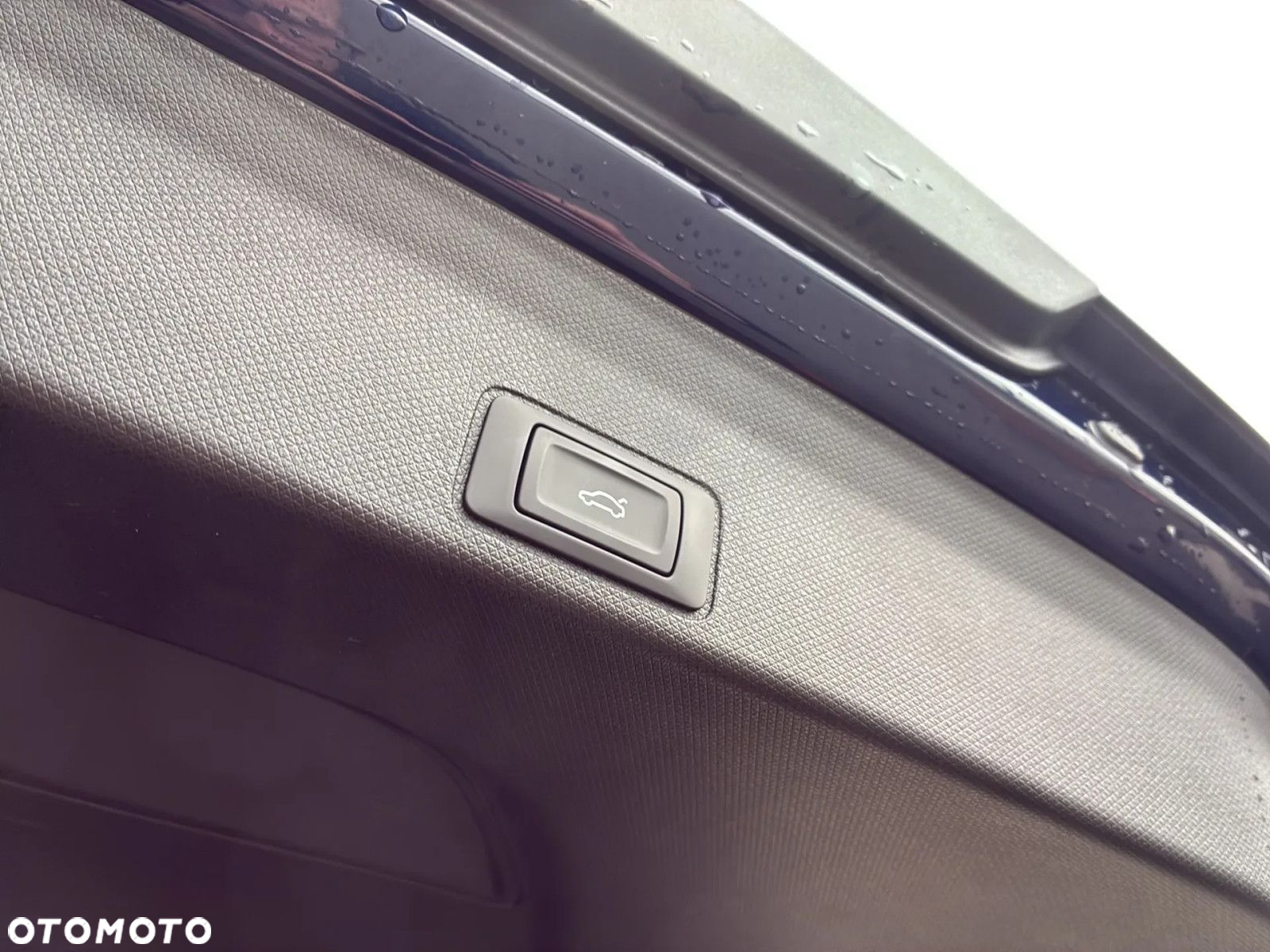 Cupra Terramar - 19