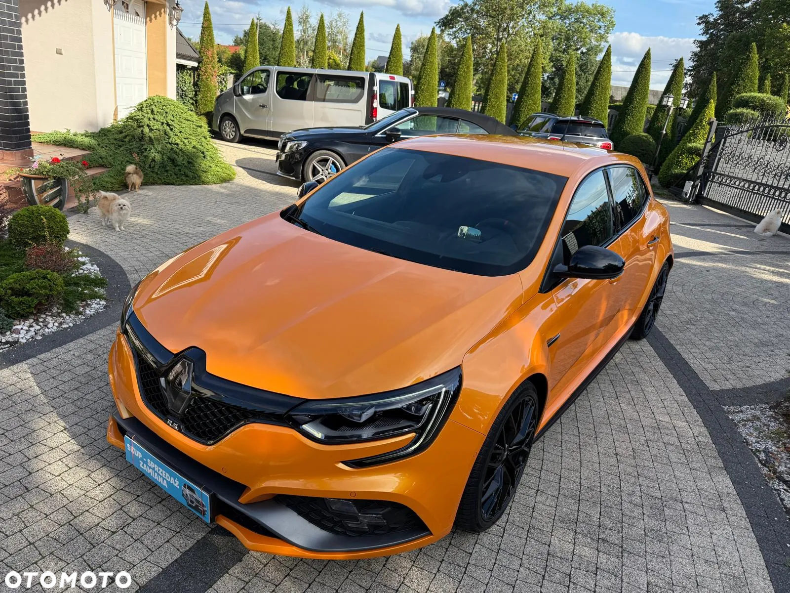 Renault Megane 1.8 TCe FAP R.S EDC - 40
