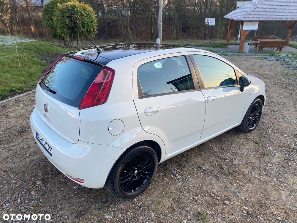 Fiat Punto - 6