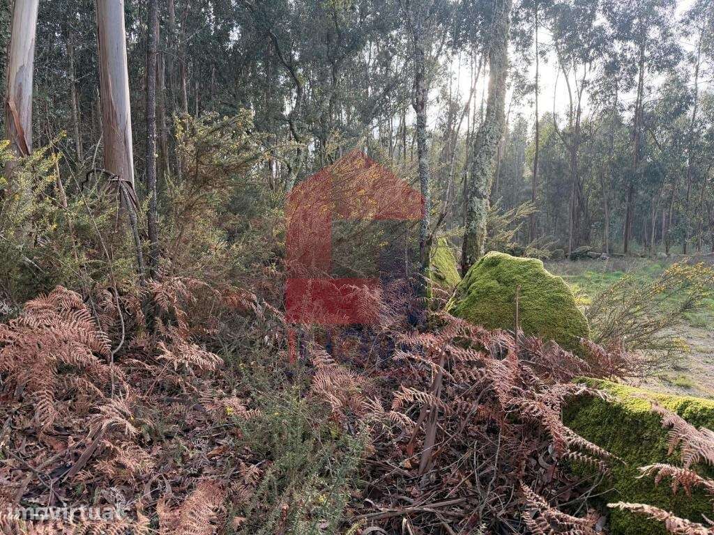 Terreno para construção, Fiscal - Grande imagem: 3/18