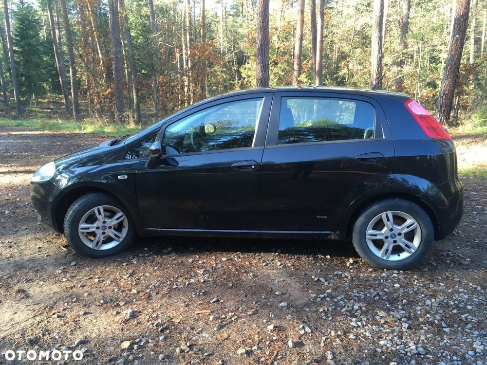 Fiat Punto - 2