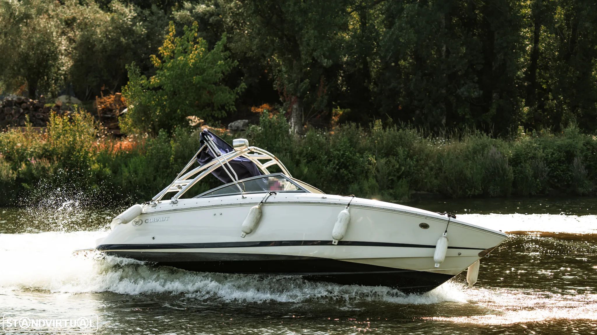 Cobalt Marine 218 - 1
