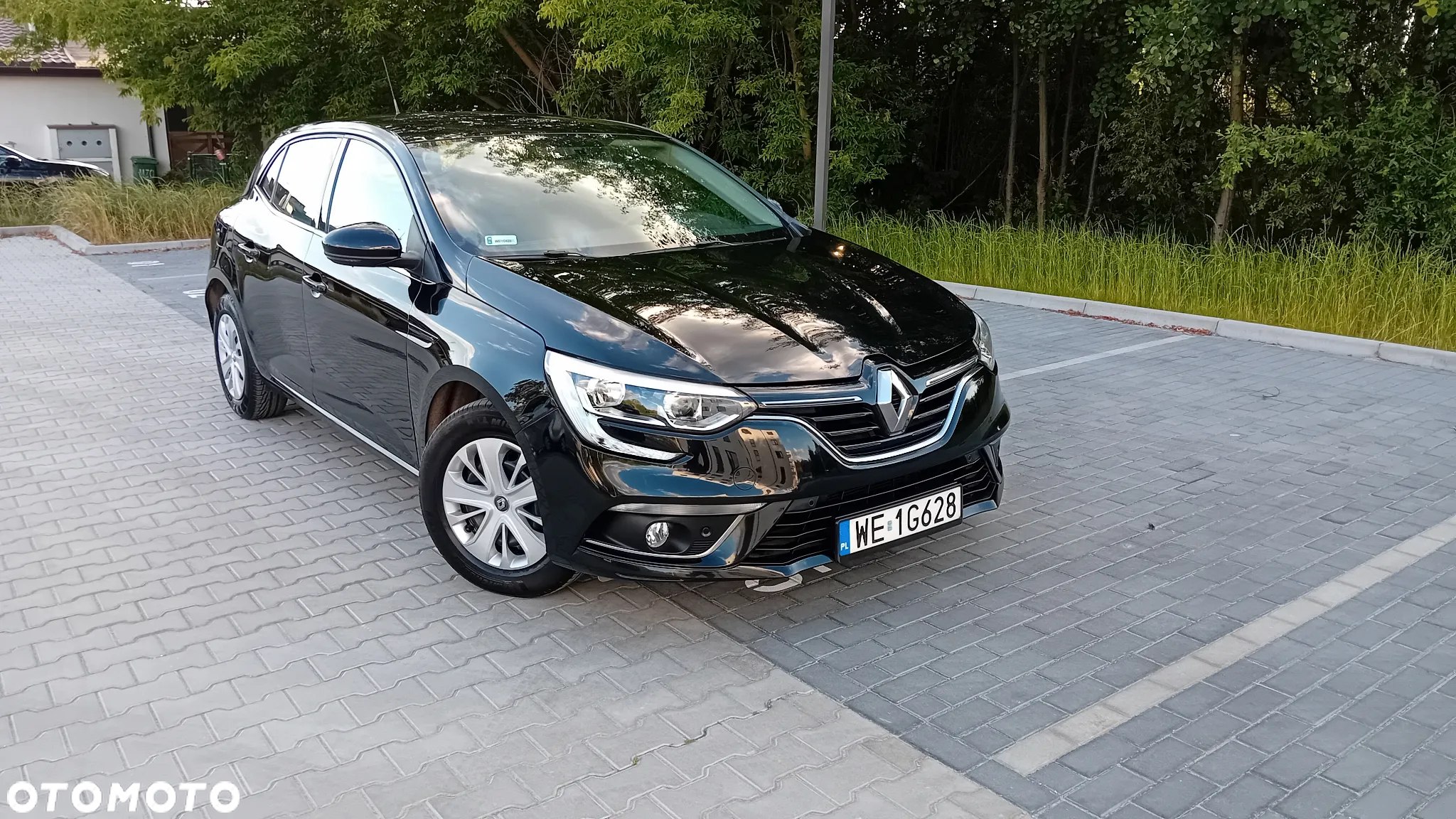 Renault Megane - 22