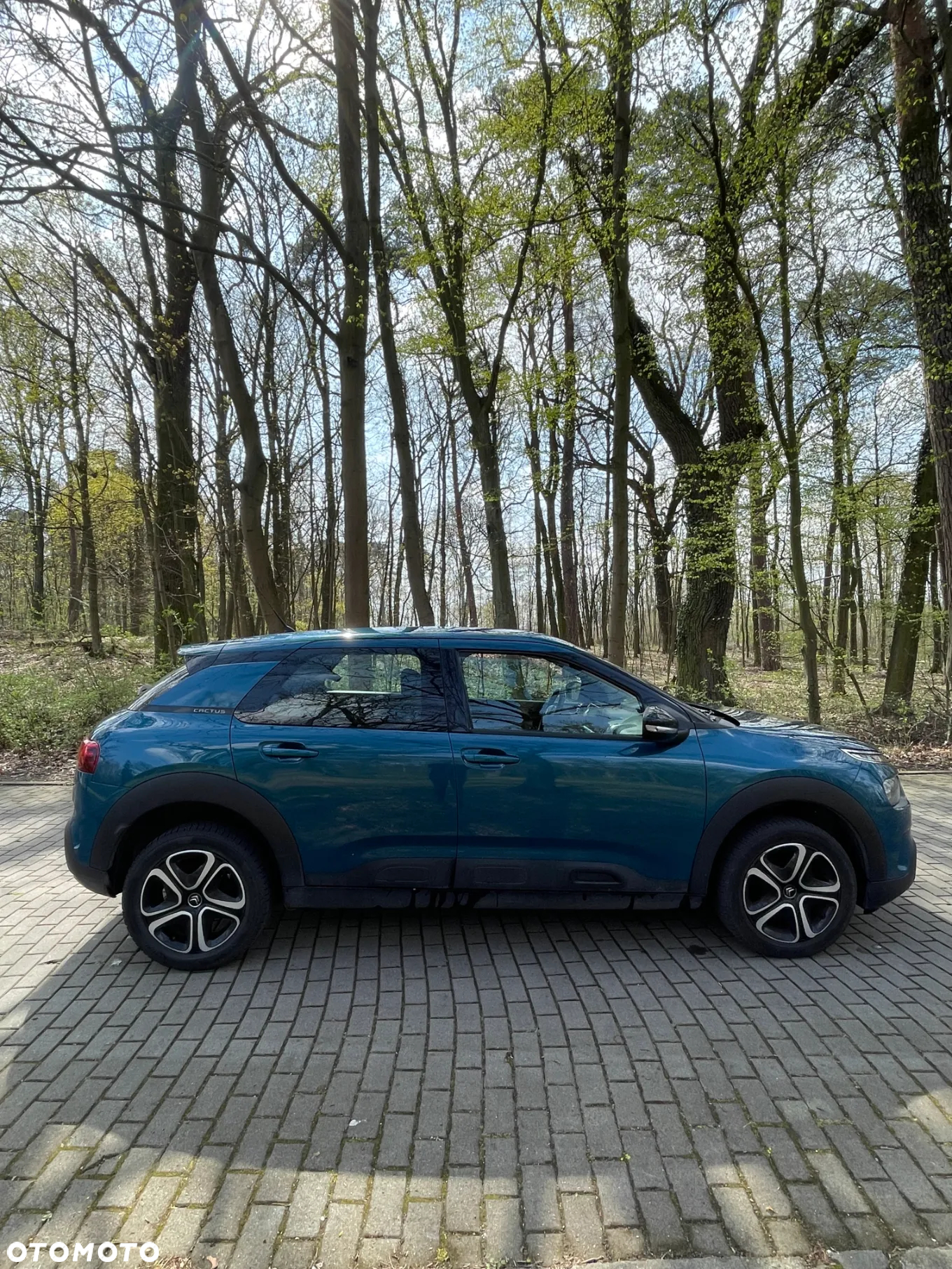 Citroën C4 Cactus 1.2 PureTech GPF Feel Pack - 3