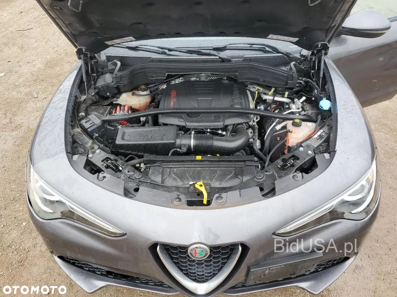 Alfa Romeo Stelvio 2.0 Turbo 16V AT8-Q4 6C Villa dEste - 9