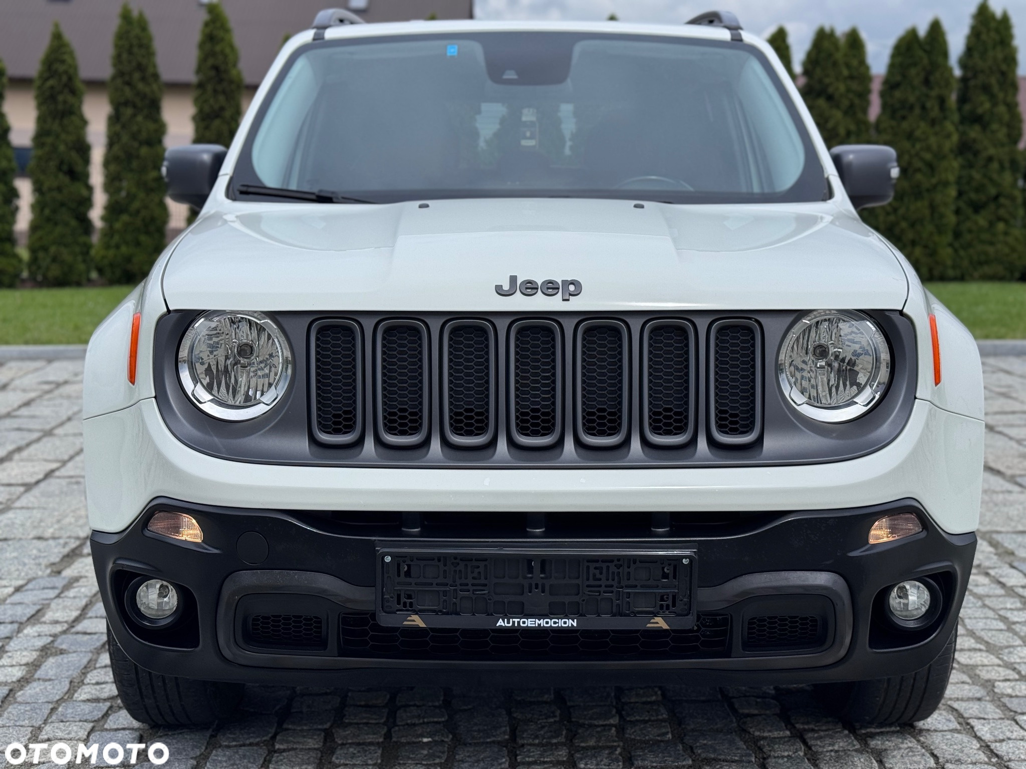 Jeep Renegade 2.0 MultiJet Trailhawk 4WD S&S - 3
