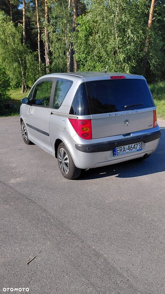 Peugeot 1007 - 19