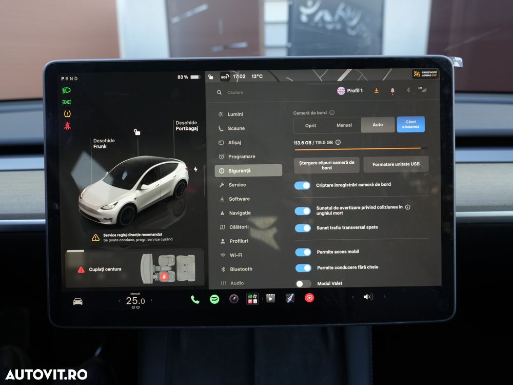 Tesla Model Y Performance Dual Motor AWD - 10