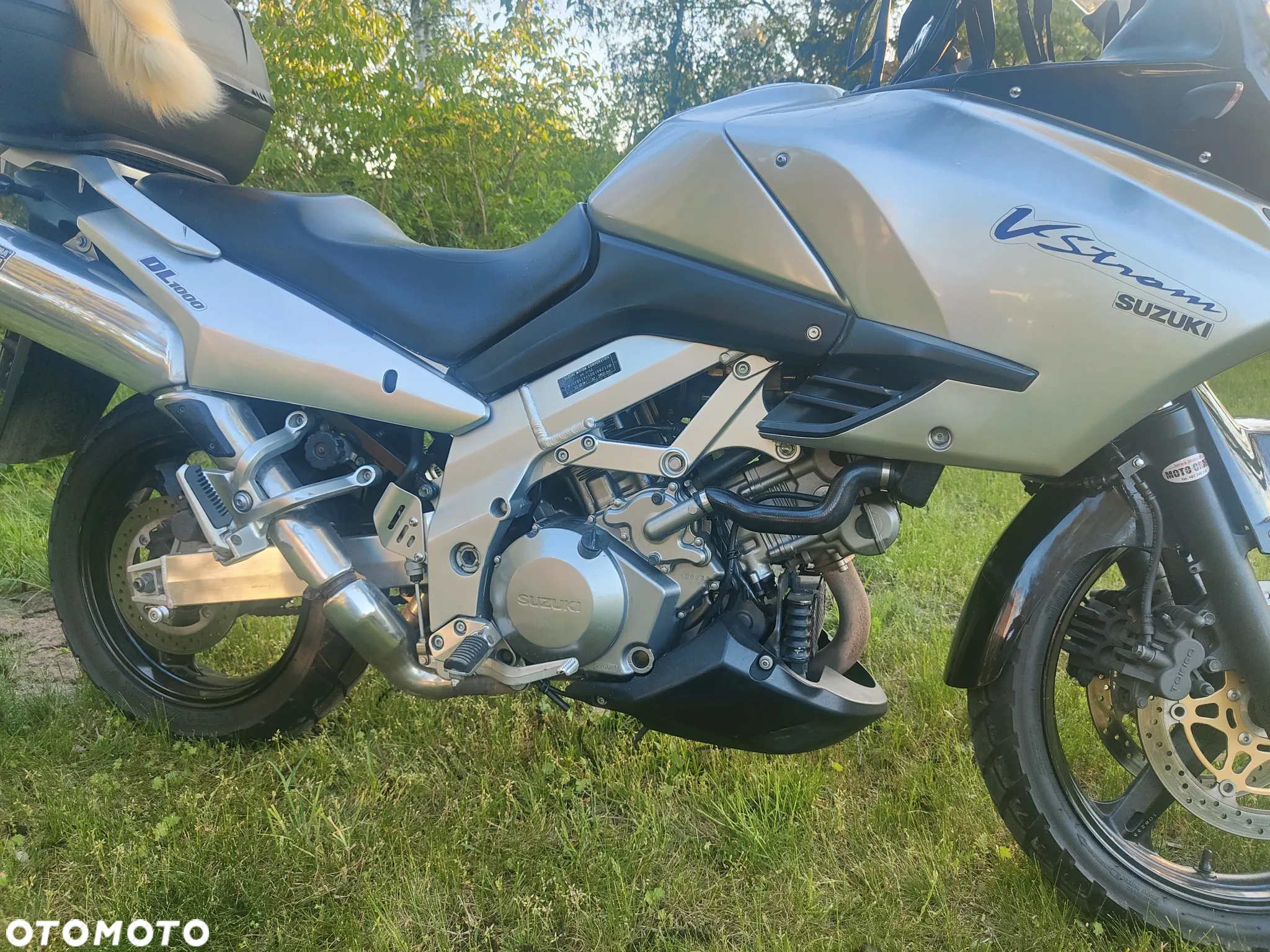 Suzuki DL - 5
