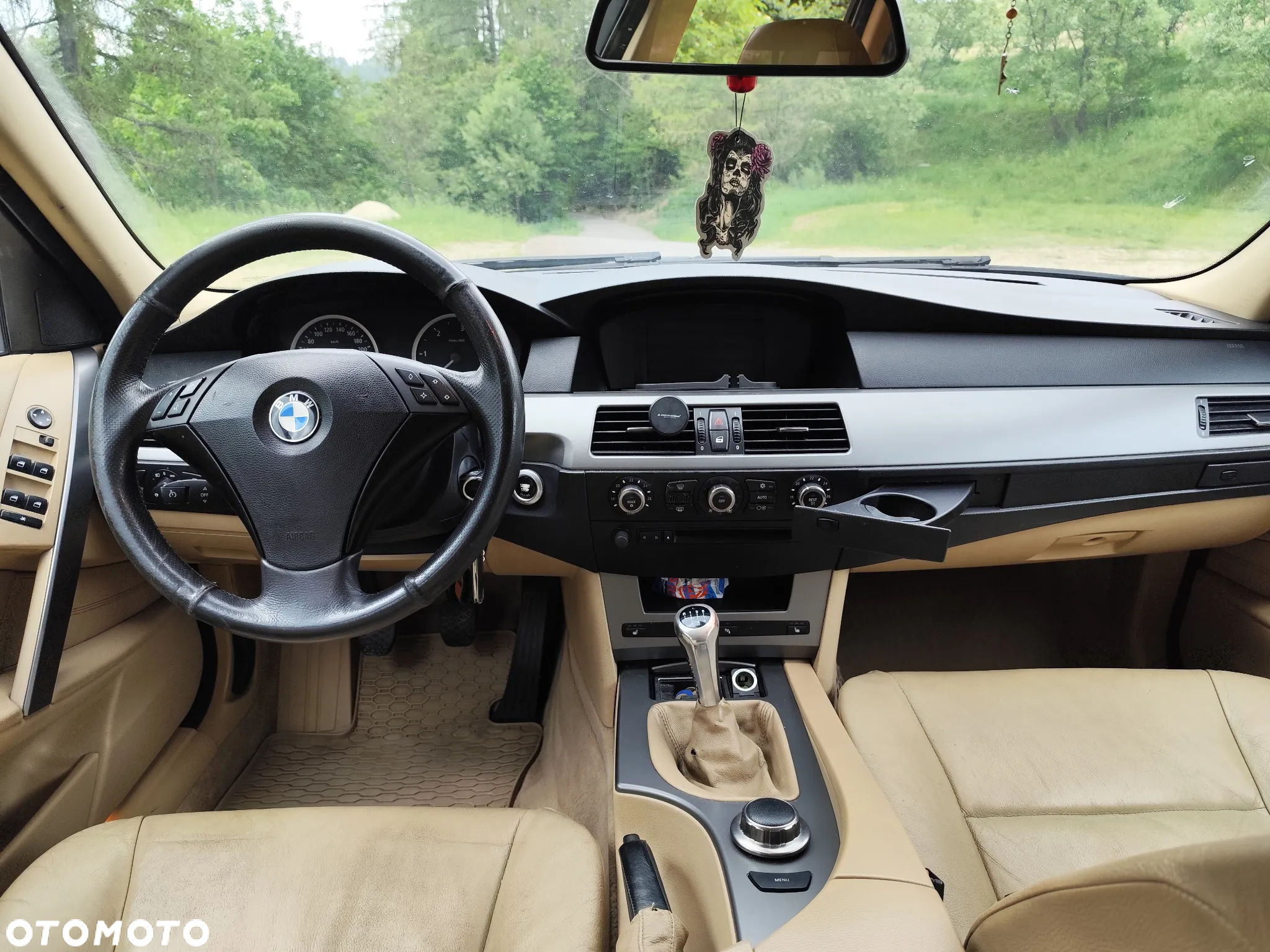 BMW Seria 5 530xd - 8