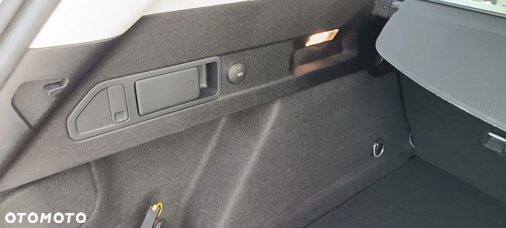 Ford Focus - 14