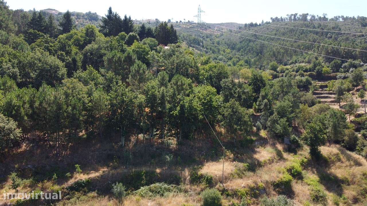 Quinta T0 Venda em Seia, São Romão e Lapa dos Dinheiros,Seia - Grande imagem: 4/8