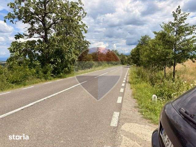 Teren la sosea intre BUDESTI si OCNA SUGATAG - Imagine principală: 5/5