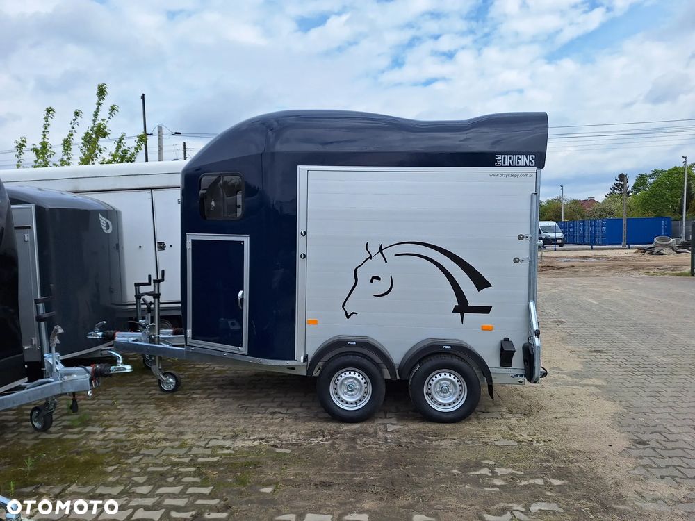 Cheval Liberte Gold Origin Debon - 17