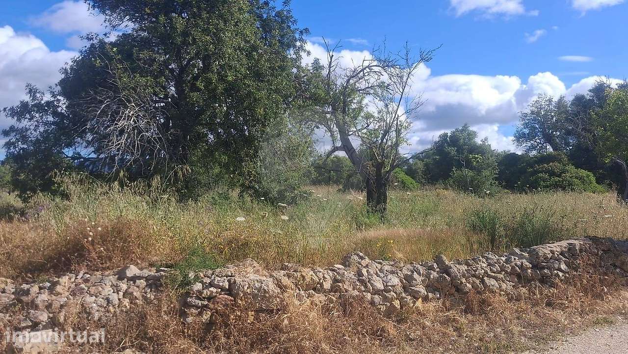 Terreno  para venda - Grande imagem: 3/5