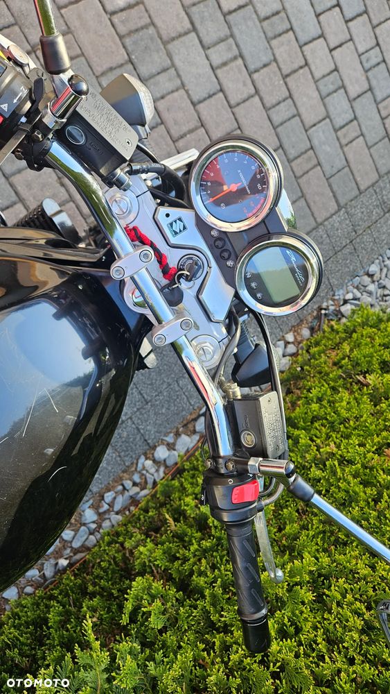 Suzuki Bandit - 21