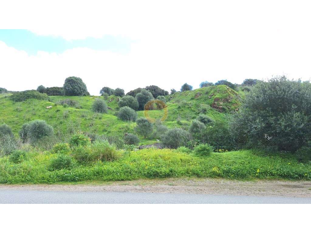 Oportunidade de Investimento: Terreno Rústico em Zambujal - Grande imagem: 4/7