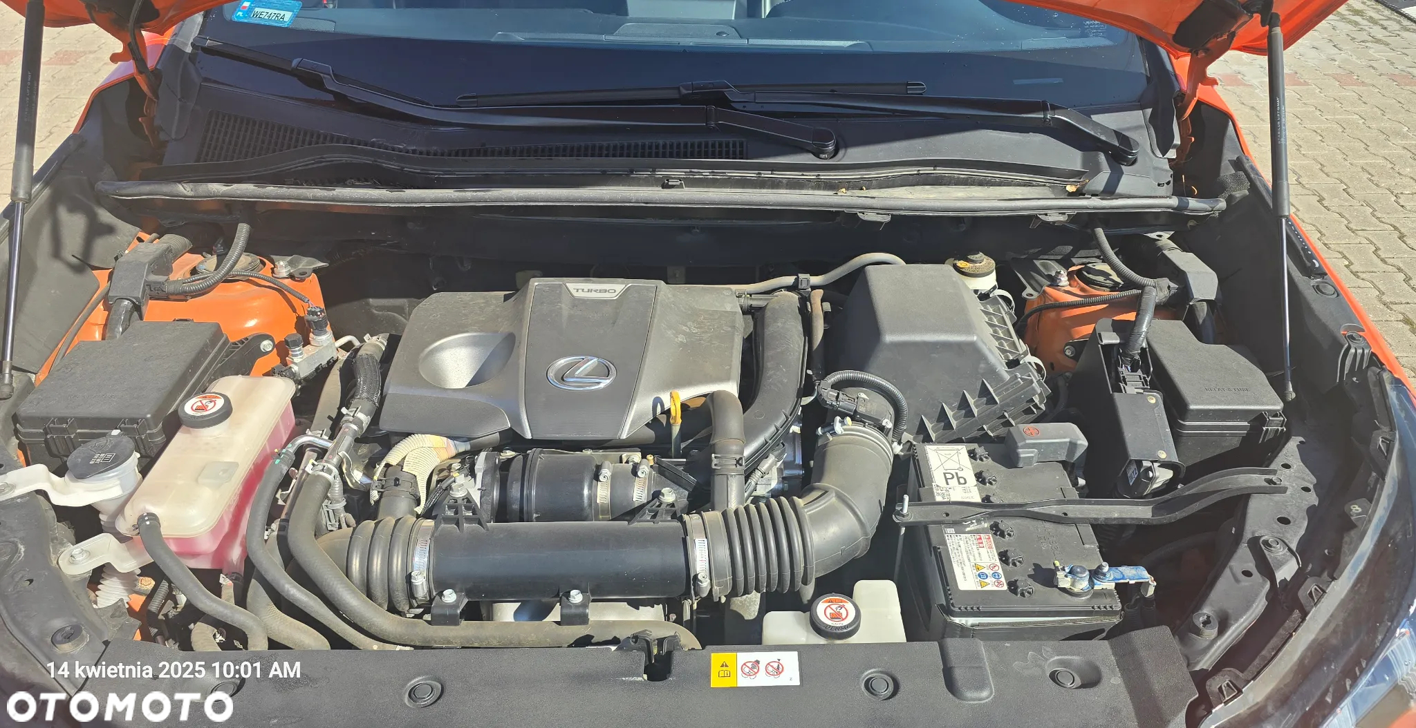 Lexus NX 200t F Sport AWD - 14