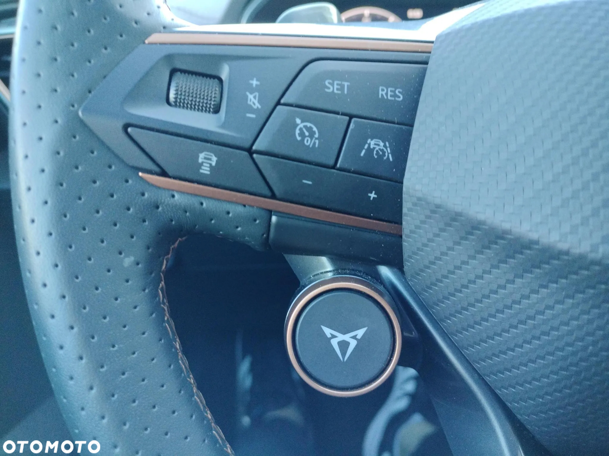 Cupra Formentor 2.0 TSI 4Drive VZ DSG - 26