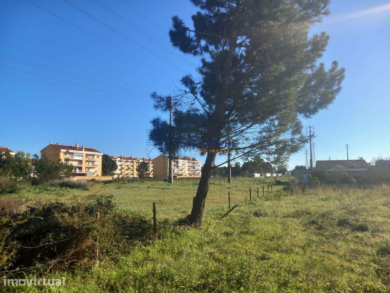 Terreno para construção 9.600m2 Marinha Grande - Grande imagem: 3/7