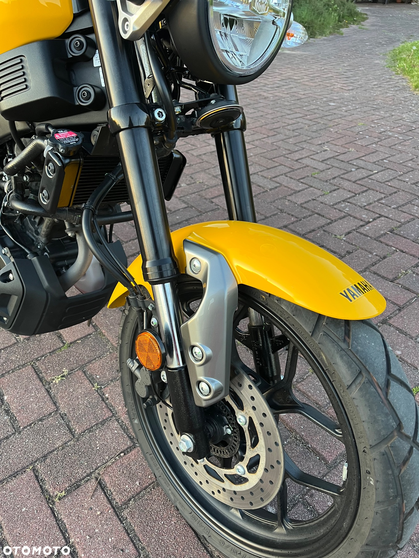 Yamaha XSR - 8