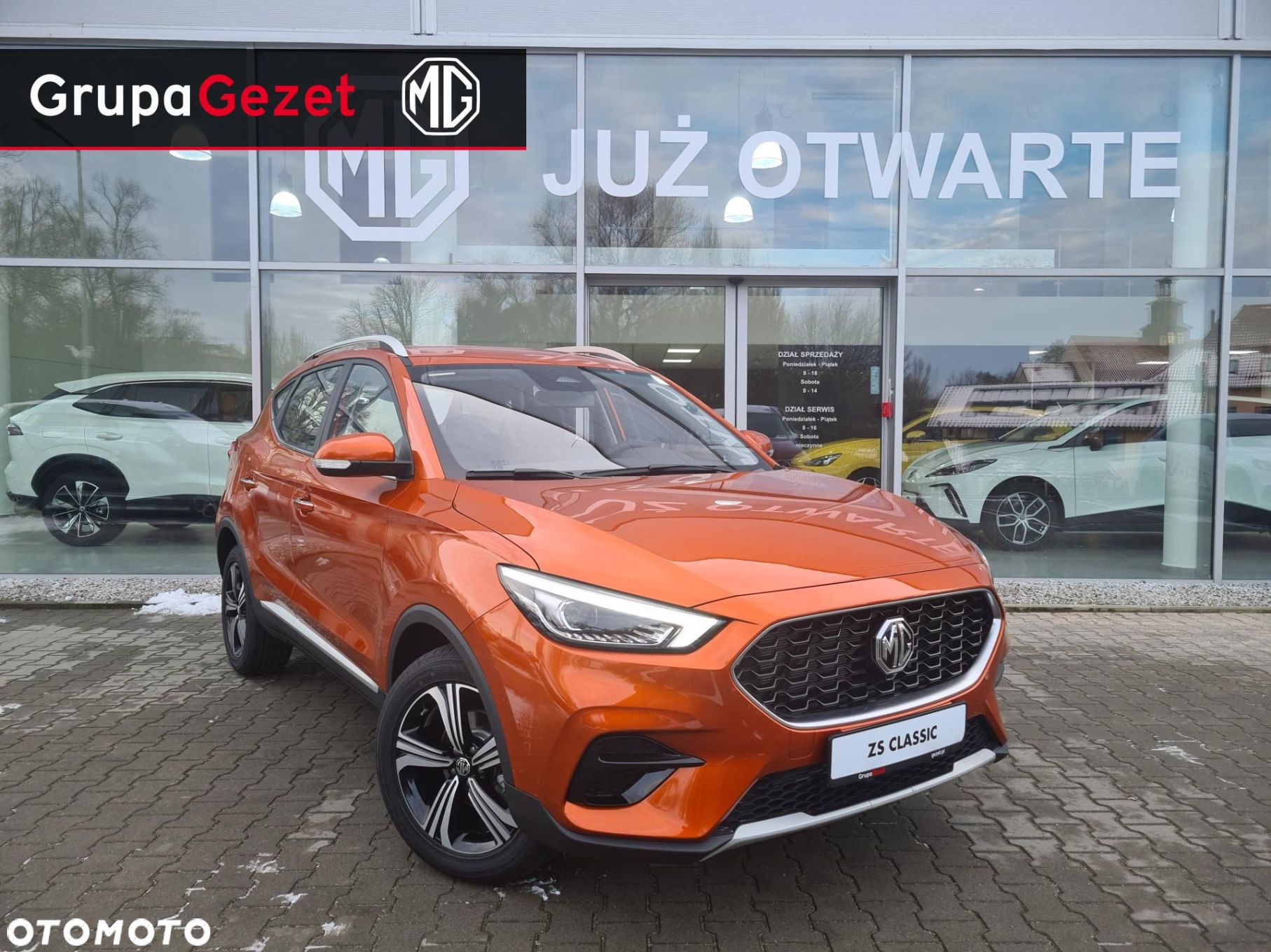 MG ZS - 6