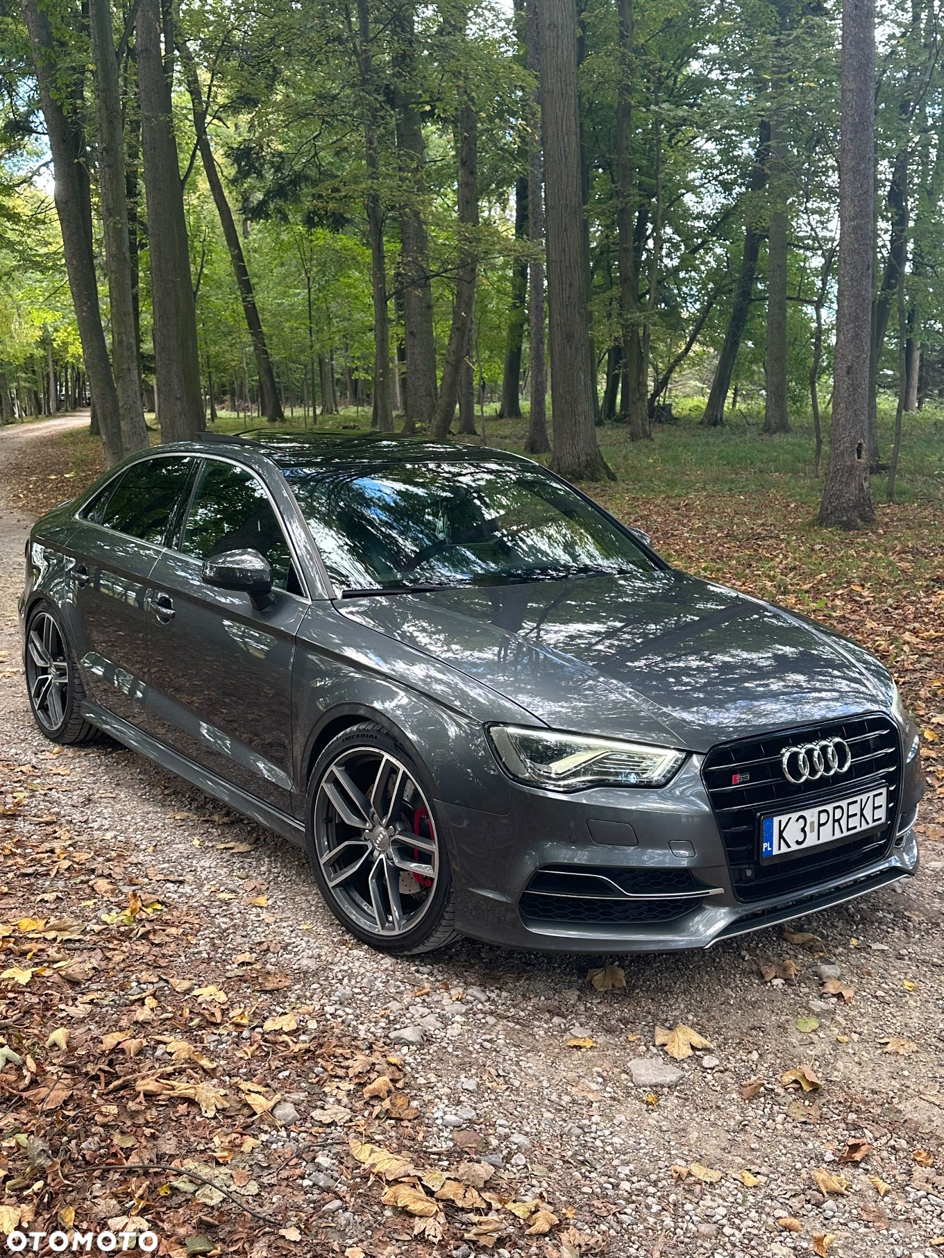 Audi S3 2.0 TFSI Quattro S tronic - 9