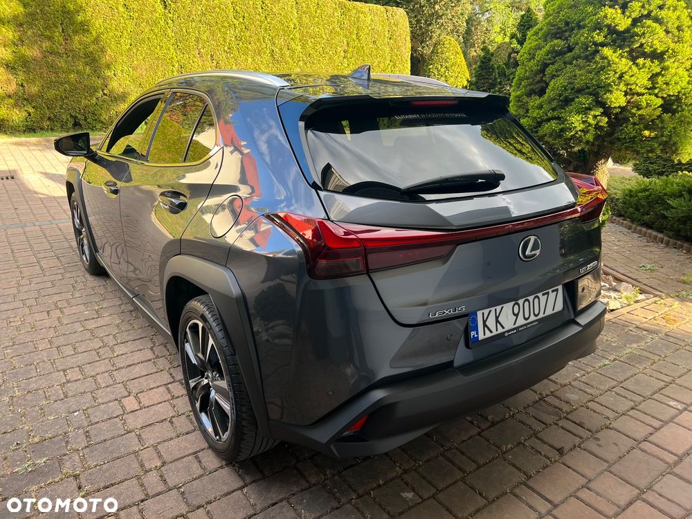 Lexus UX 250h GPF Business 2WD - 12