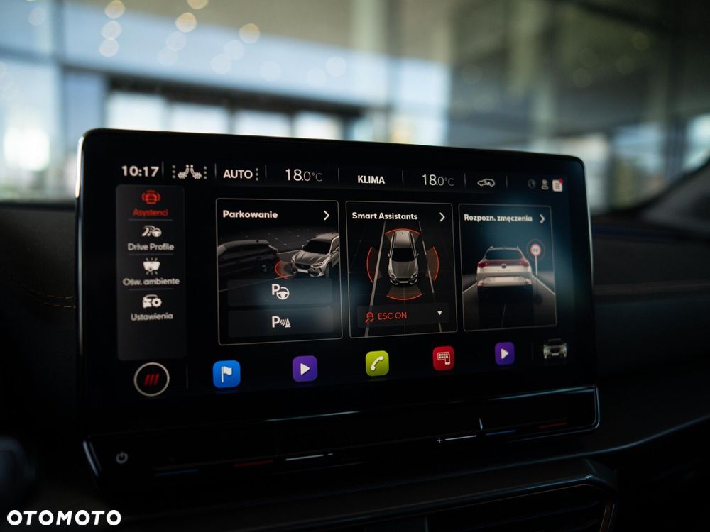Cupra Formentor 2.0 TSI 4Drive VZ DSG - 28