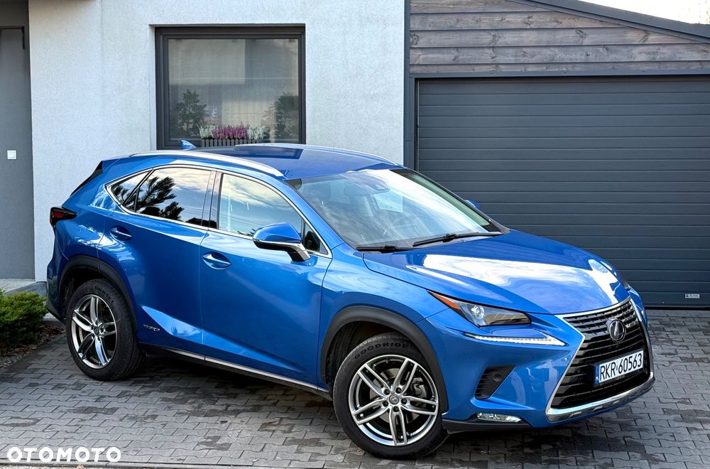 Lexus NX - 8